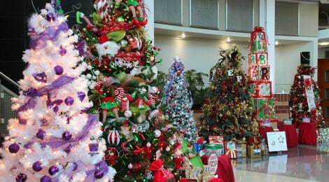 IALR to Hold Open House for Decorating the Trees for a Cause