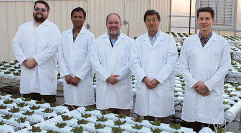 VDACS Grant Aids Endophyte Use in Indoor Ag
