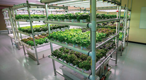 IALR & VT Receive GO VA Indoor Farming Grant