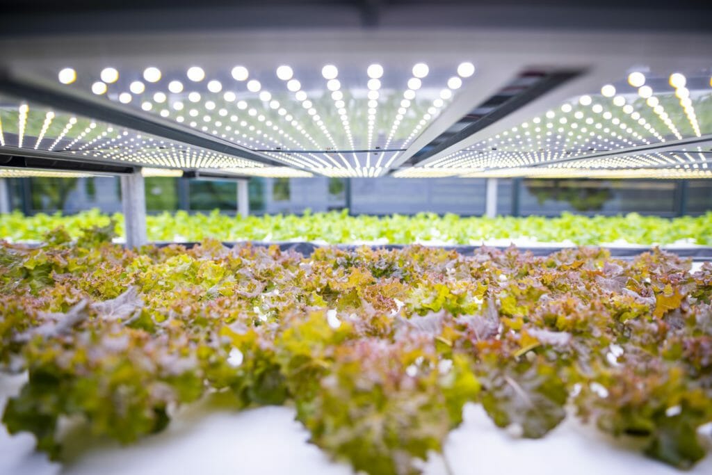 Indoor AgCon, Controlled Environment Agriculture Innovation Center