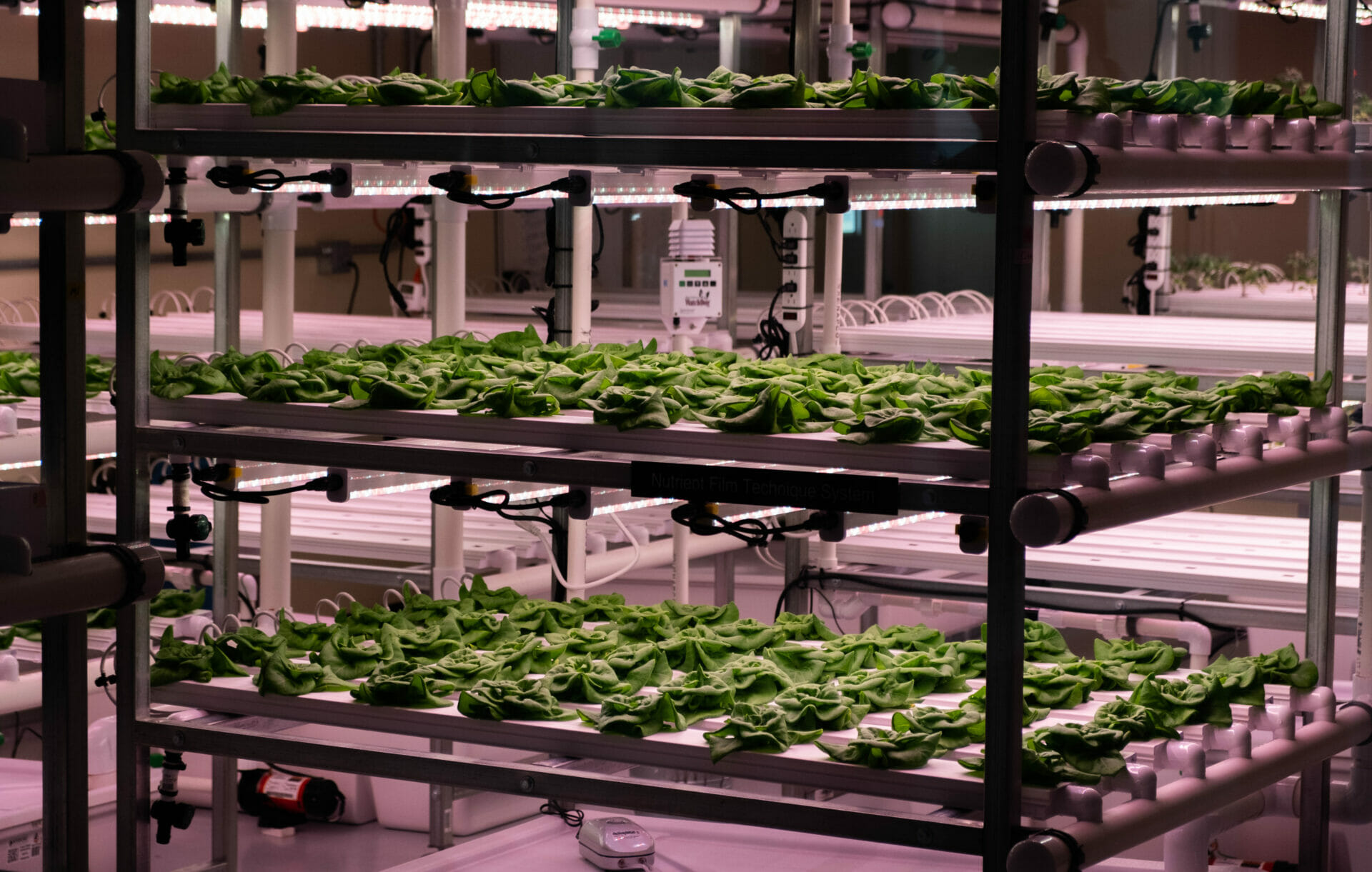 Controlled Environment Agriculture Summit East Announces Graduate