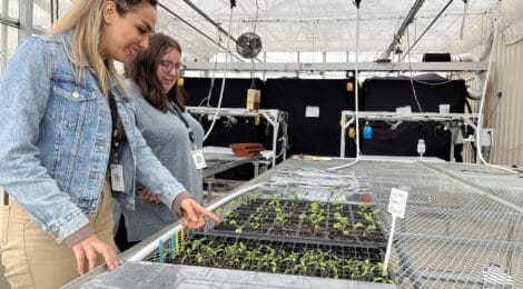 IALR Collaborates with AgroSpheres