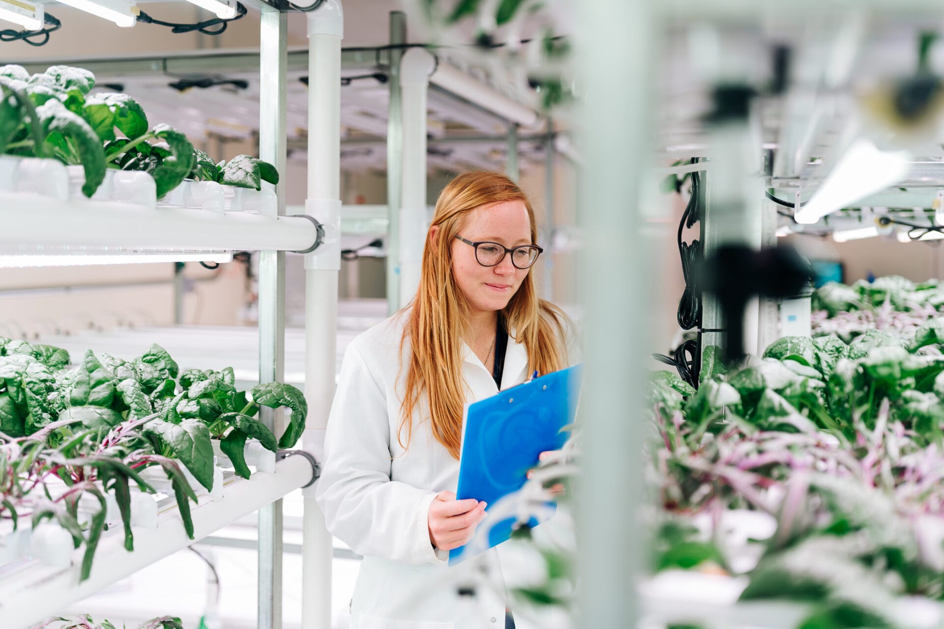 Controlled Environment Agriculture Innovation Center Institute for