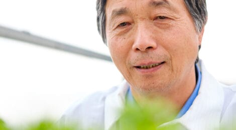 Enhancing Spinach Yields with Beneficial Bacteria