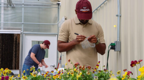 Students of All Levels Advance CEA Research at IALR