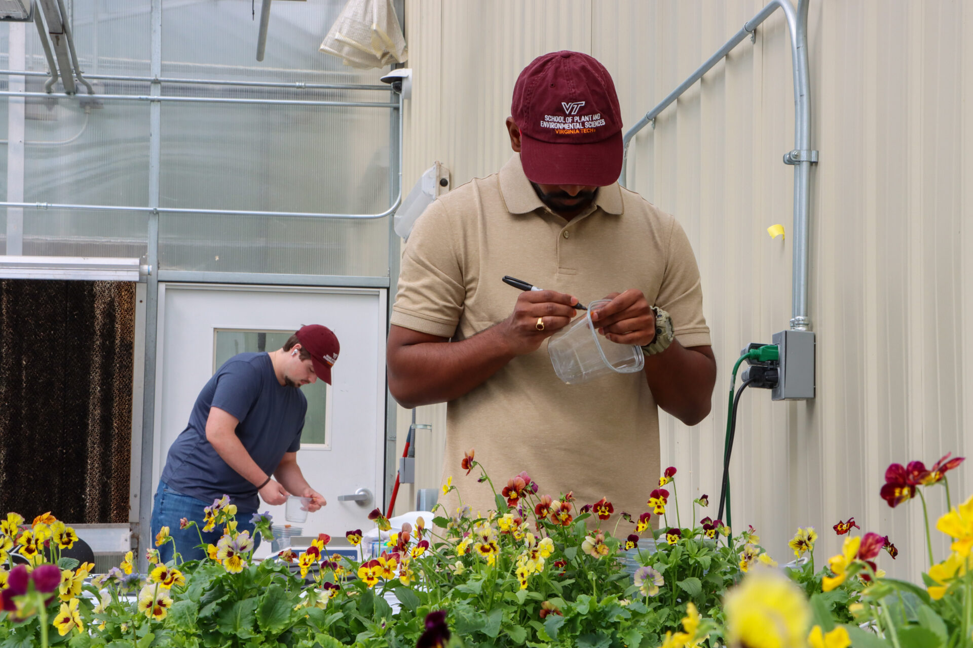 Students of All Levels Advance CEA Research at IALR