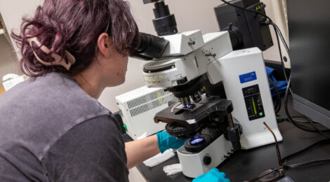 VT–IALR Industrial Fermentation Workshop Builds Skills and Industry Connections