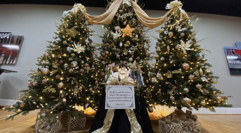 IALR’s Virtual Holiday Tree Program Names Winner